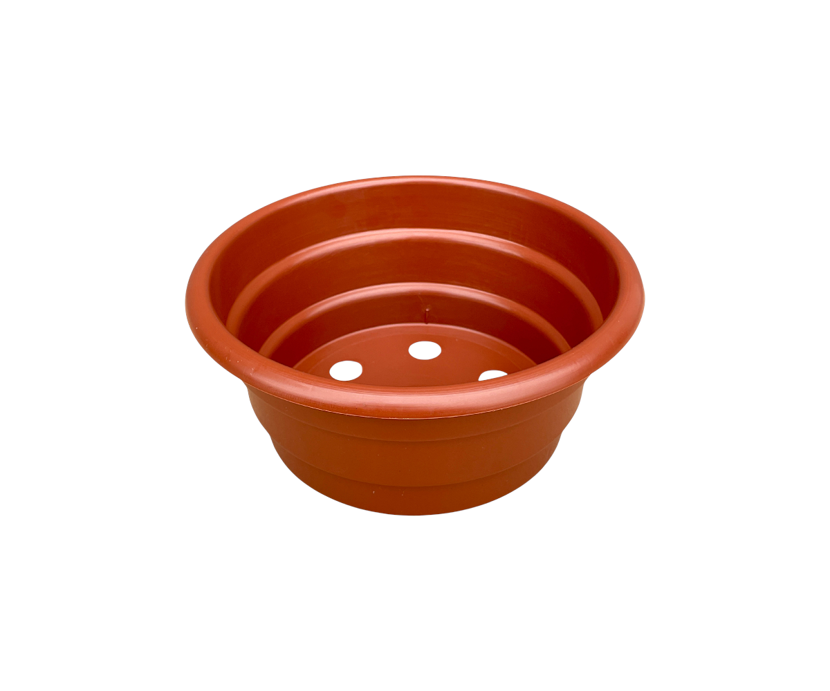 Misa fi 21 cm z kołnierzykiem - TERAKOTA